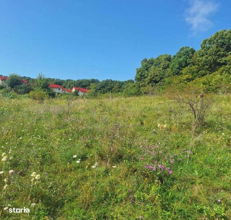 Teren in Chinteni langa padure 1425mp front 70ml - Imagine principală: 3/6