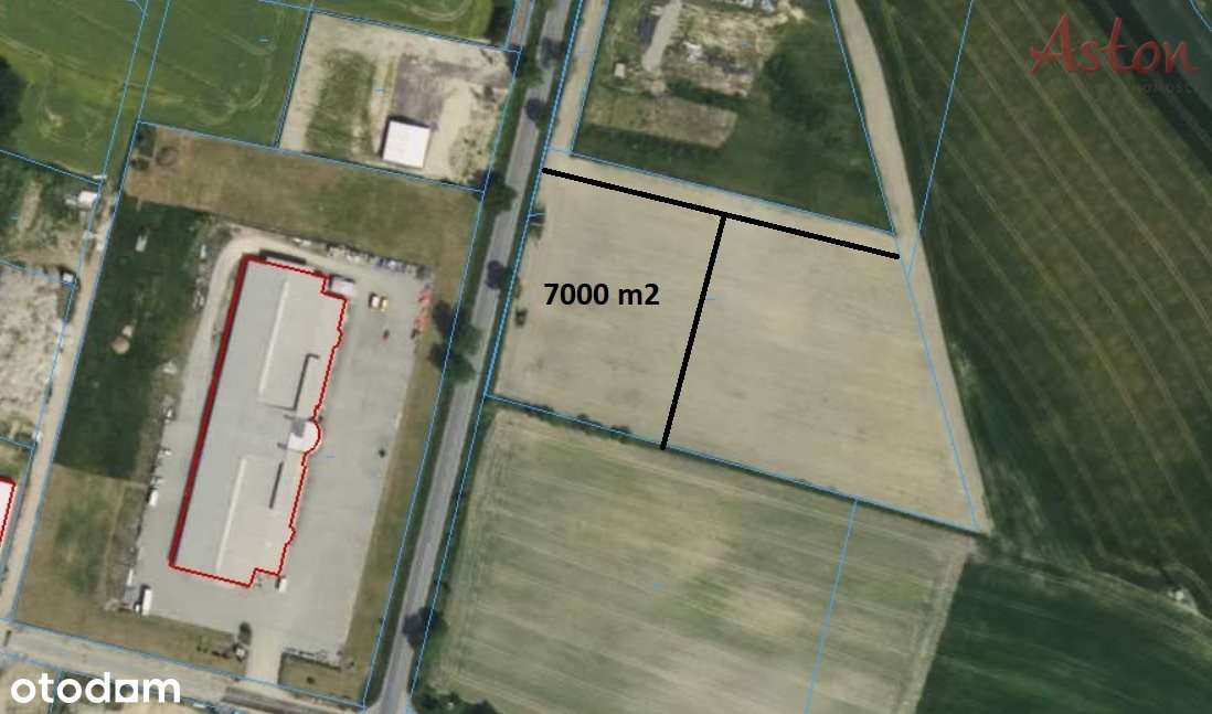 Wyry - działka usługowa na wynajem - Pełny obrazek: 5/5