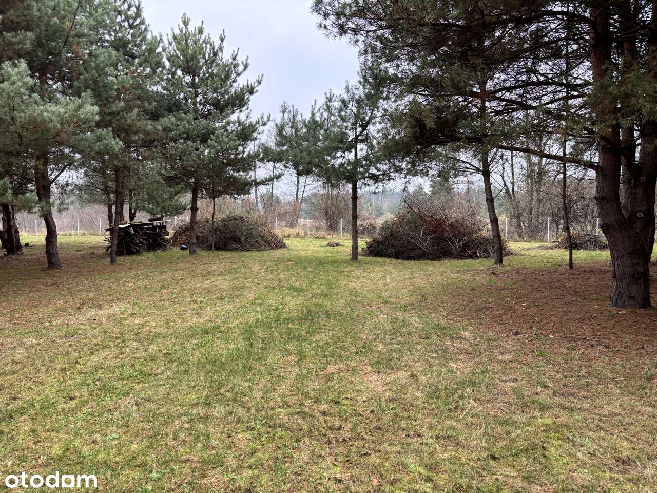 Działka budowlana i rolna, Liwiec, prąd, woda - Pełny obrazek: 4/5