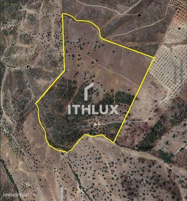 Terreno Rústico com 33 Hectares junto ao Alqueva – Póvoa de São Miguel - Grande imagem: 5/5
