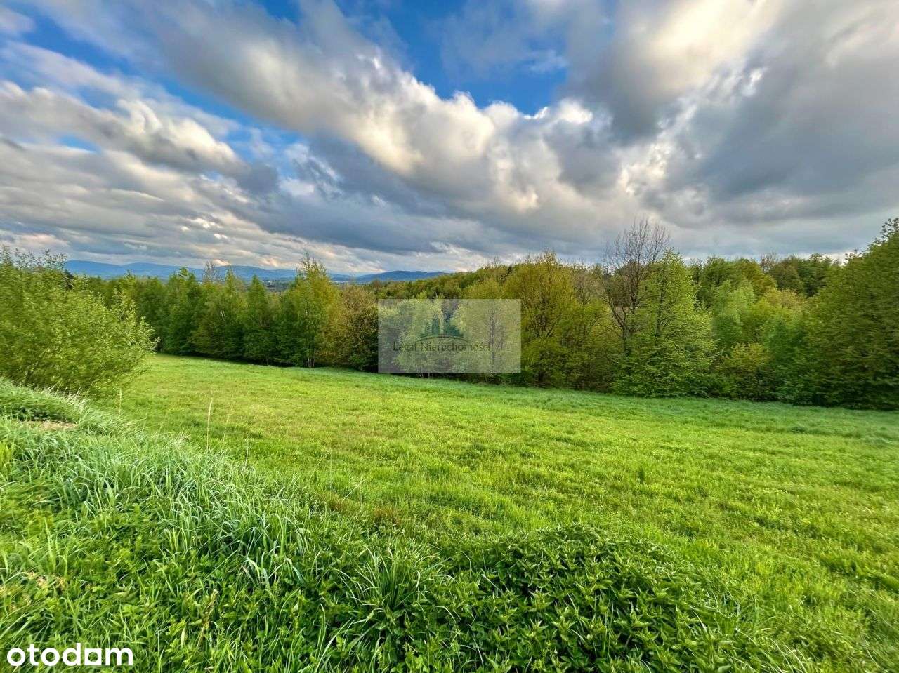 Działka budowlana w Głogoczowie - Pełny obrazek: 5/8