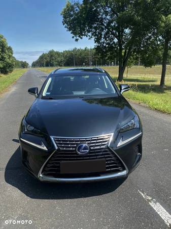 Lexus NX - 4