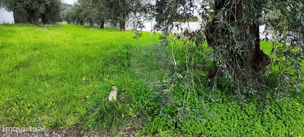 Terreno  para venda - Grande imagem: 5/12