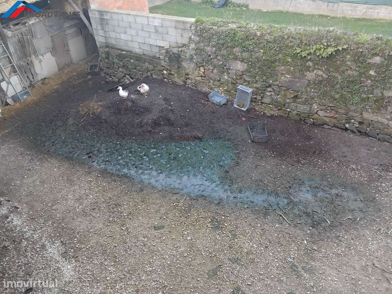 Casa centenária situada numa aldeia no concelho de Penacova, Coimbra-13