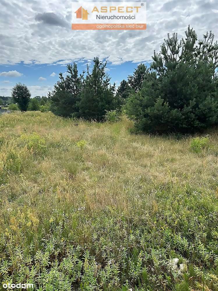 Działka w Strabli ul. Nowa pow. 1000 m2 - Pełny obrazek: 4/14