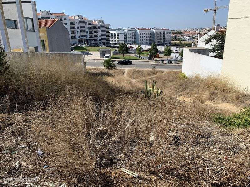 Terreno Urbano 300 m² – Parque Luso – Excelente localização - Grande imagem: 4/5