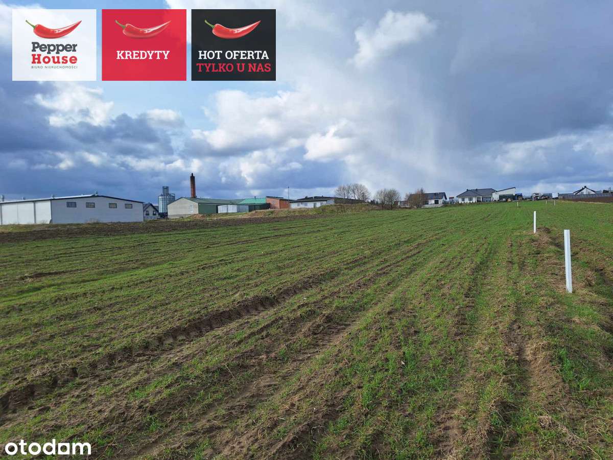 Działka inwestycyjna w pobliżu trasy S6! - Pełny obrazek: 4/5