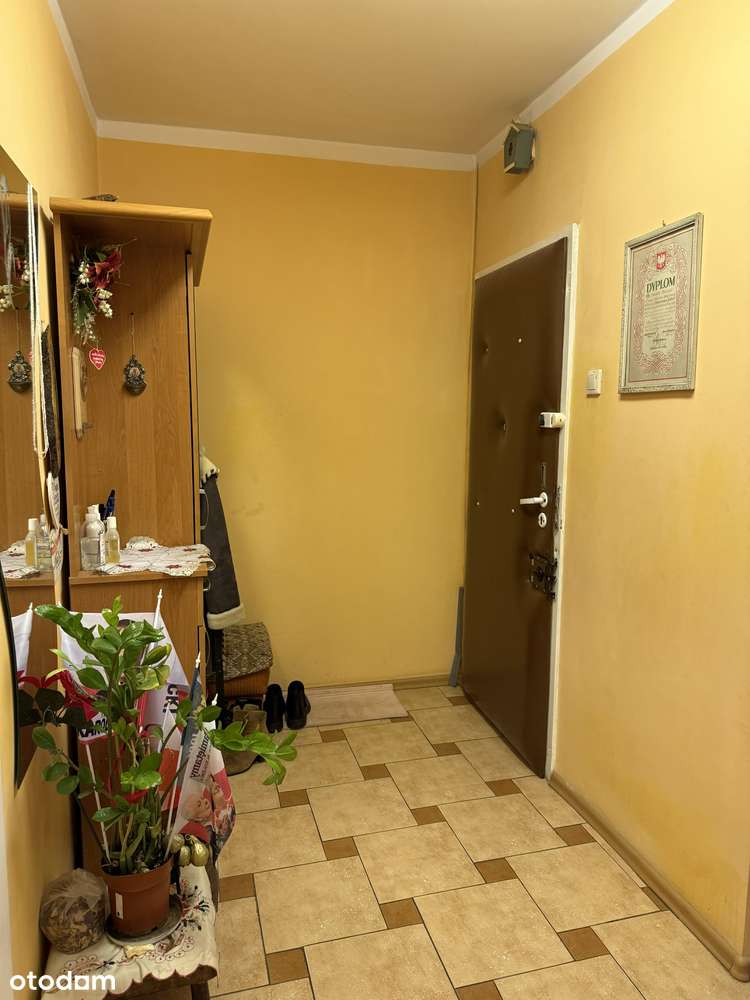 M-3 Bugaj Ip. blok duży balkon,pow.50m2-7