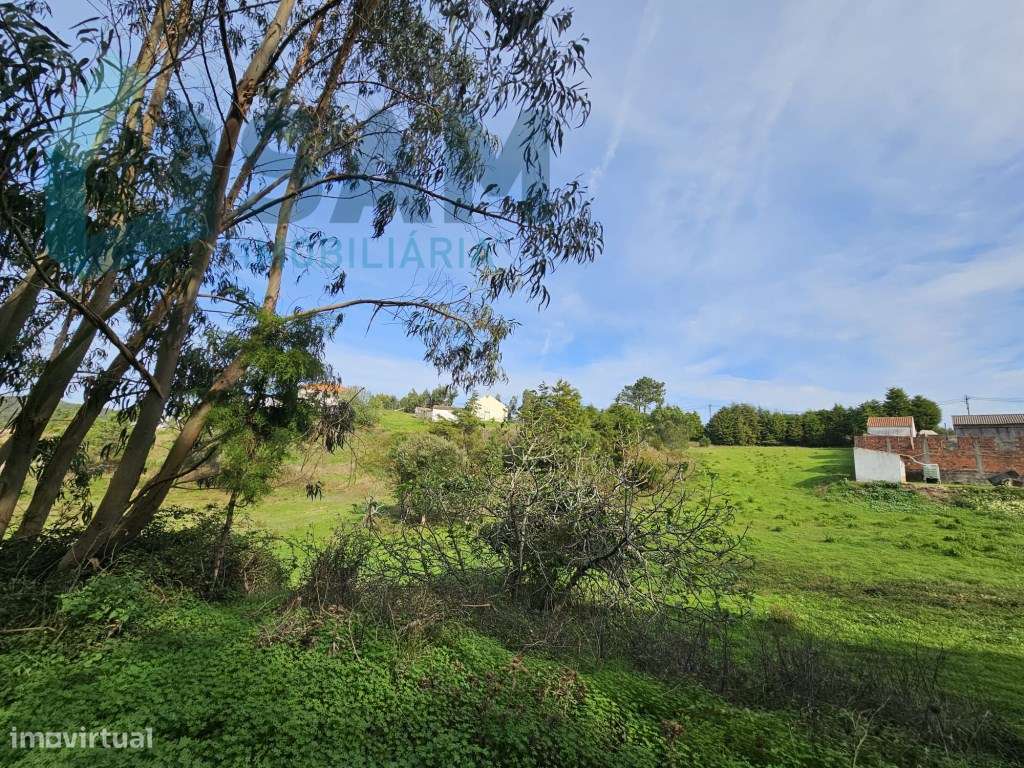 Terreno de 12.105 m2 com moradia Torres Vedras-32