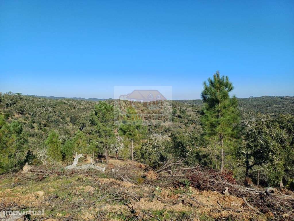 Terreno com 14,5ha para Turismo a 10 km de Melides! - Grande imagem: 2/9