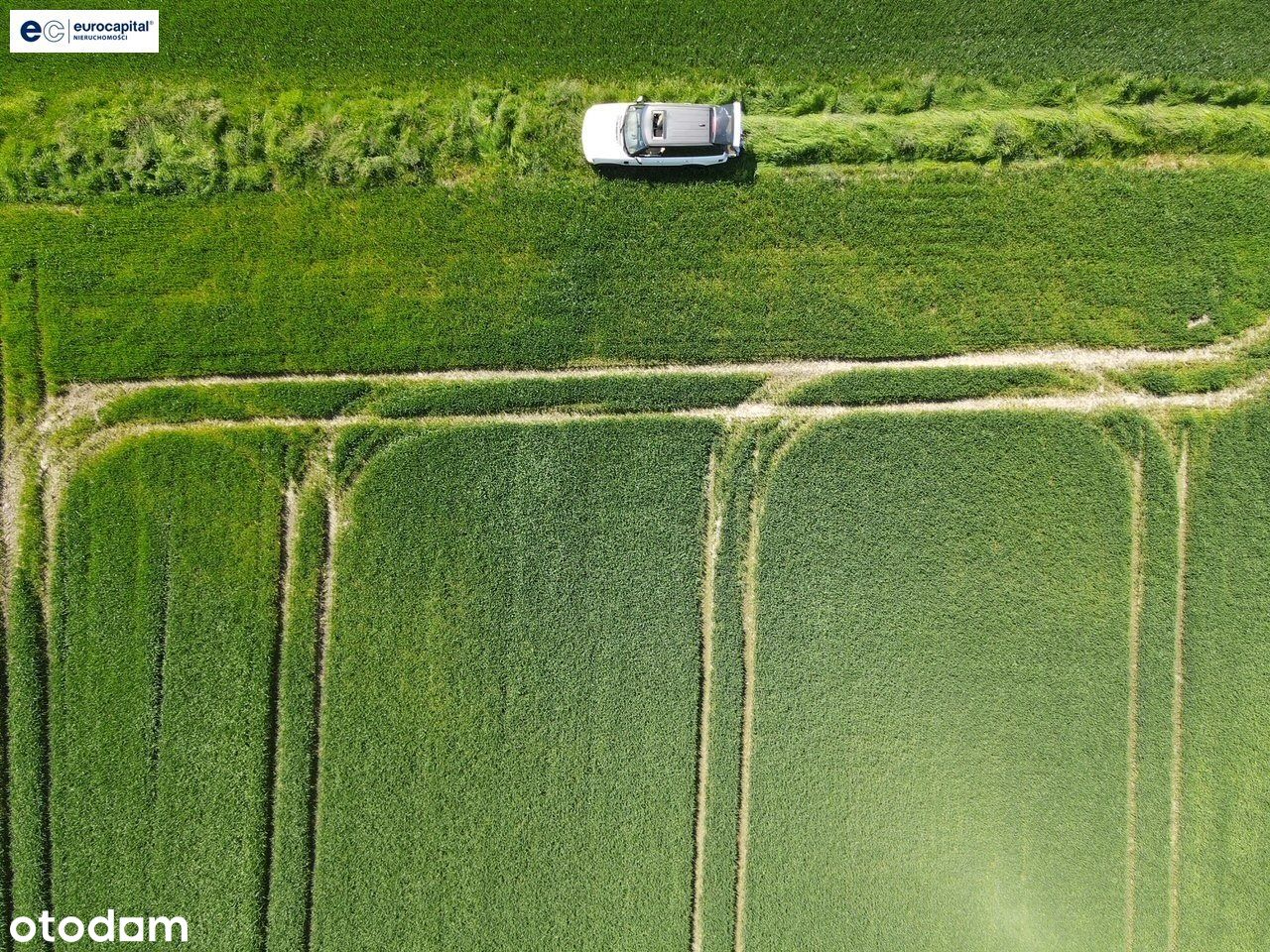 Duża, Dobrze Nasłoneczniona W Pięknym Otoczeniu!