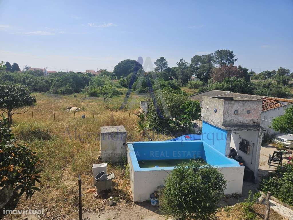 Quinta com 3 Habitações | Pinhal Novo | Terreno 5.400 m²-10