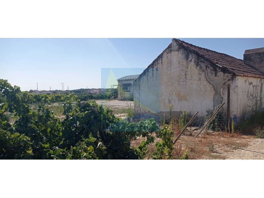Propriedade Vitivinícola | 130.000 m² | Syrah & Moscatel-6