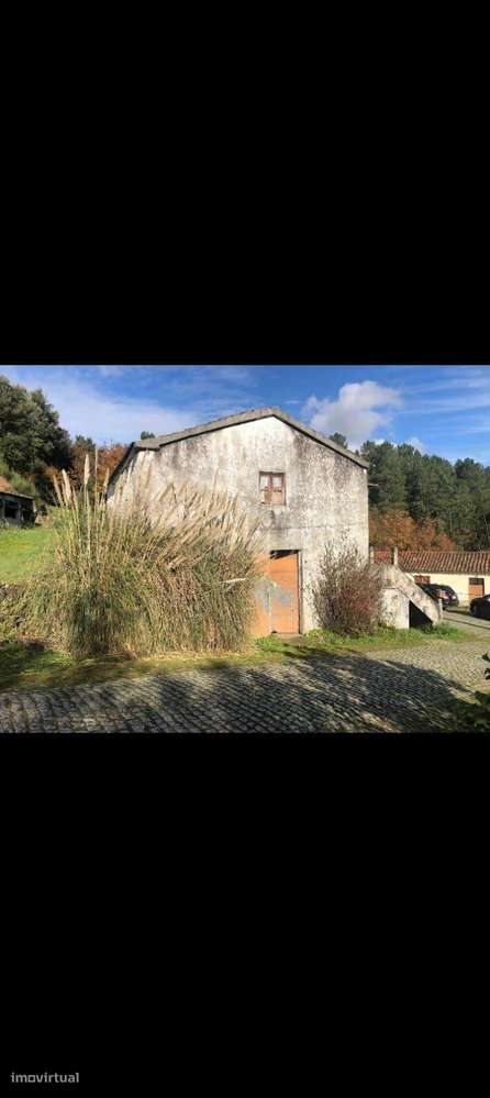 Moradia com terreno em Cabriz - Ribeira de Pena - Grande imagem: 5/15