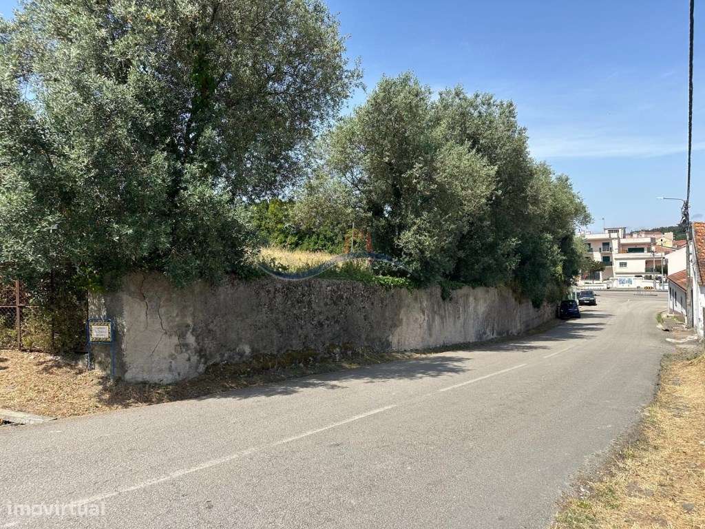 Terreno - Monte Real - Grande imagem: 5/14