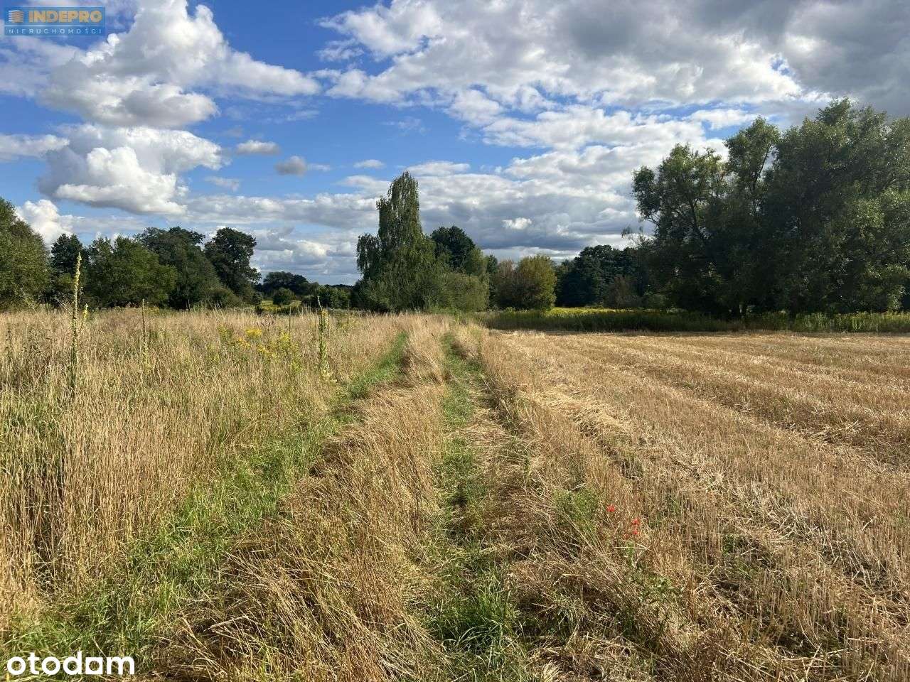 Duchnów 3769m² (1000m²+las) Wz – 3km do A2 rzeka-12