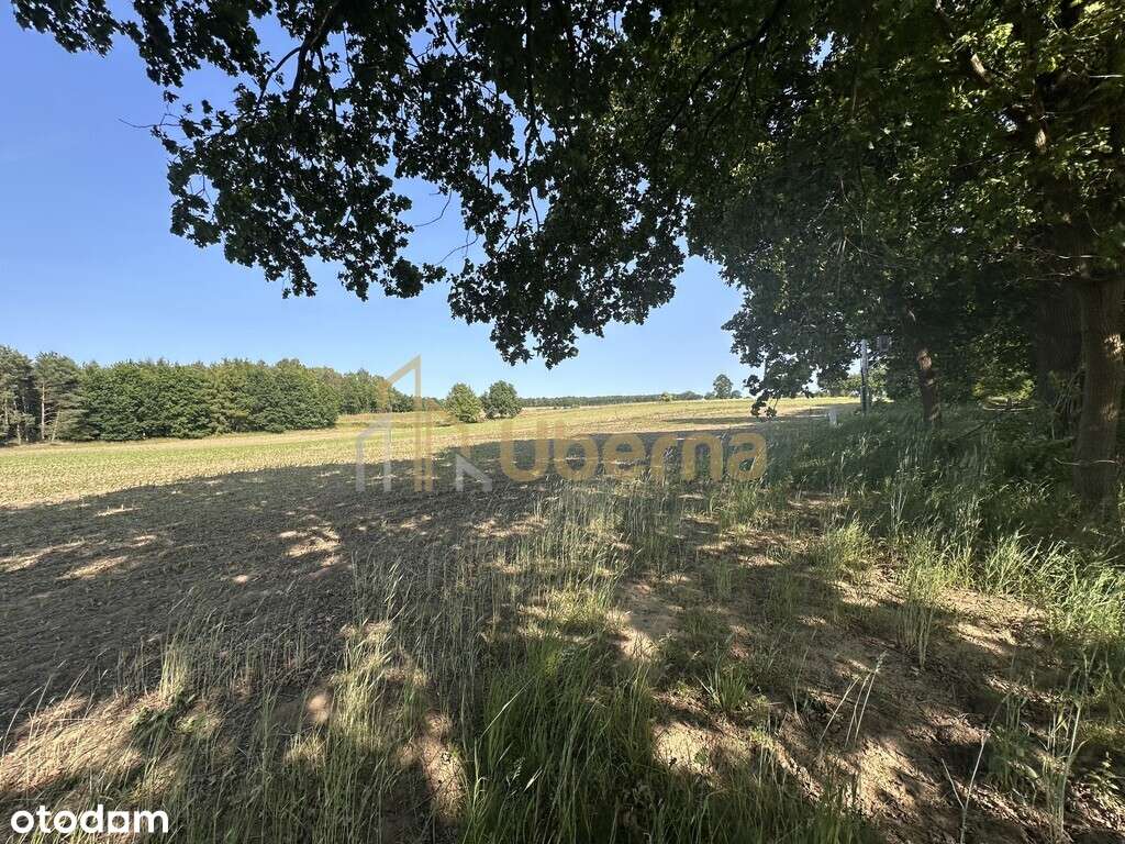 Działka w Radzanku–Gm.Maszewo war.zabud. - Pełny obrazek: 5/16