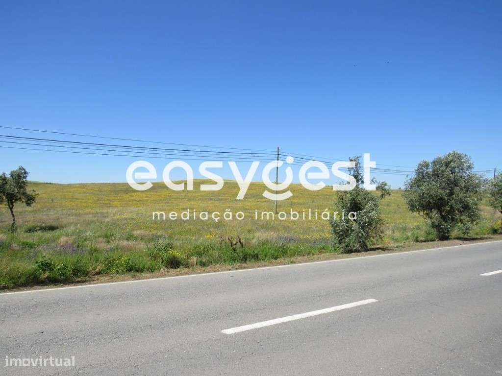 Terreno em Aljustrel com 17.000m2 com possibilidade construção - Grande imagem: 5/12