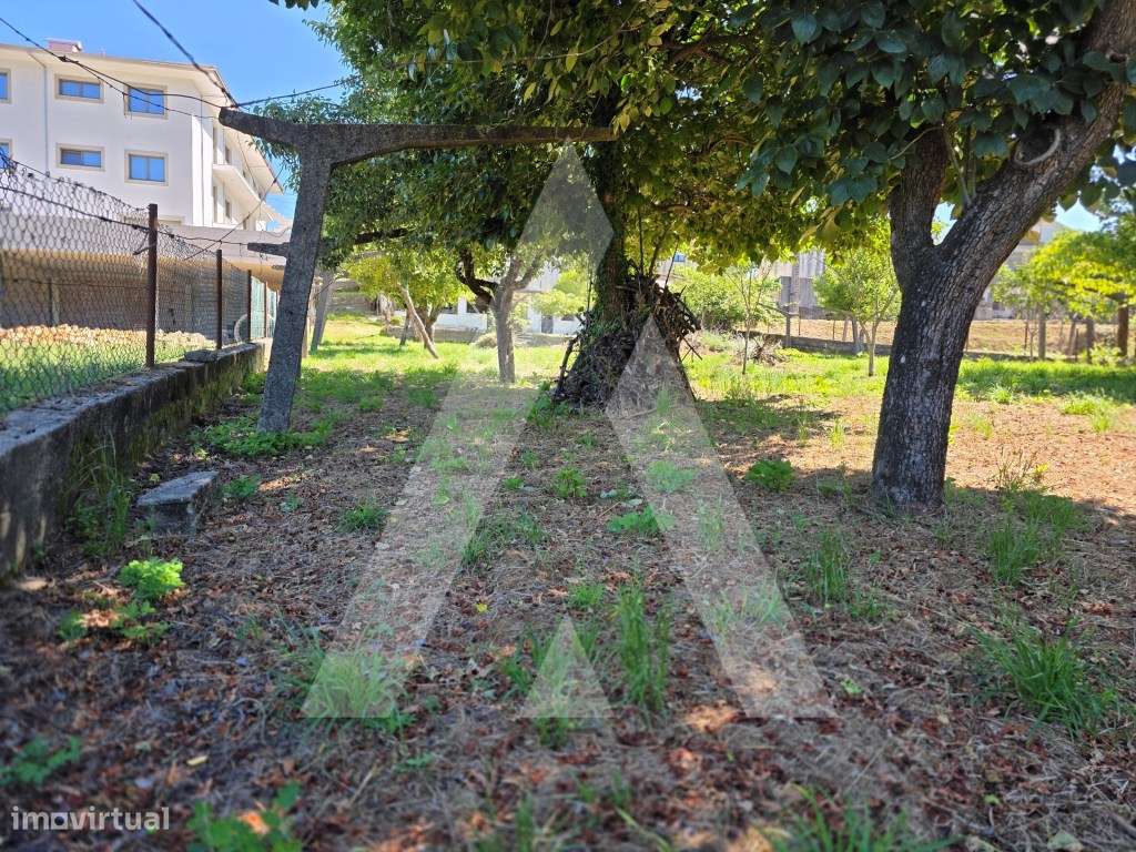 Excelente Moradia T4 em Carregosa, Oliveira de Azeméis-40