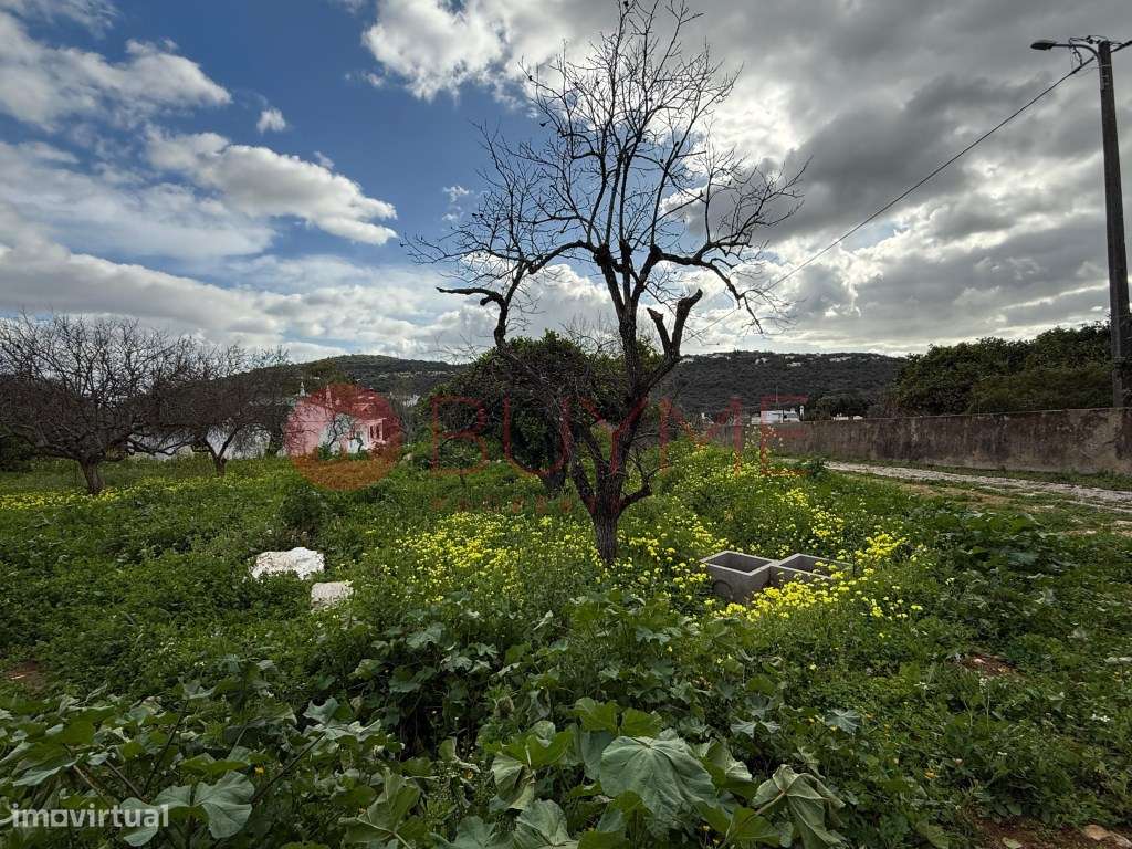 Terreno Urbano com Projeto Aprovado | São Brás de Alportel - Grande imagem: 3/22