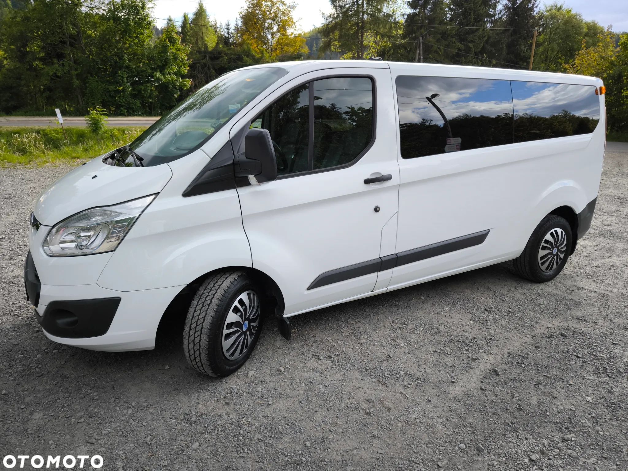 Ford Transit Custom - 1