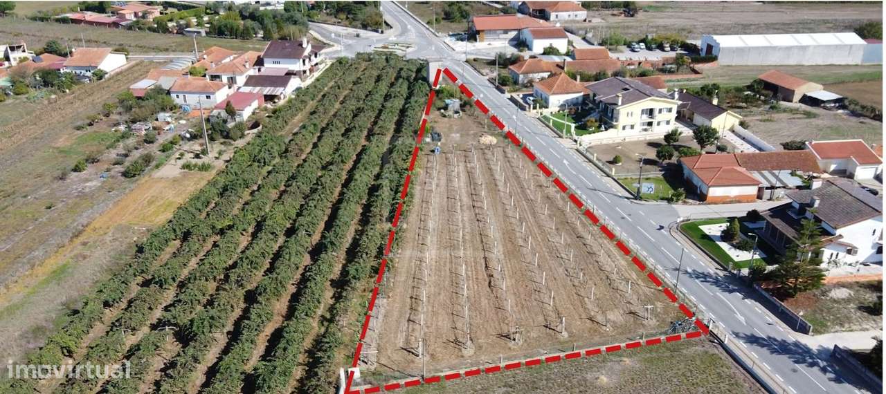 Terreno plano para construção-2