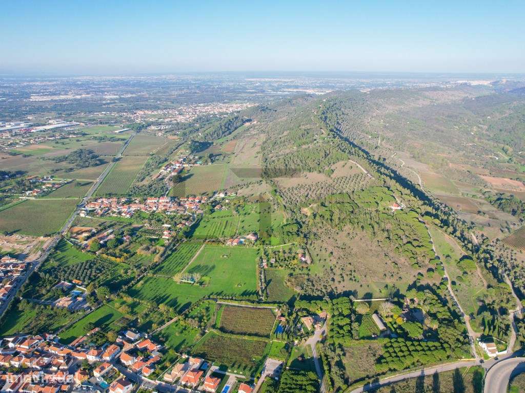 Quinta com Piscina e Vinha para Venda em Azeitão, Arrábida-6