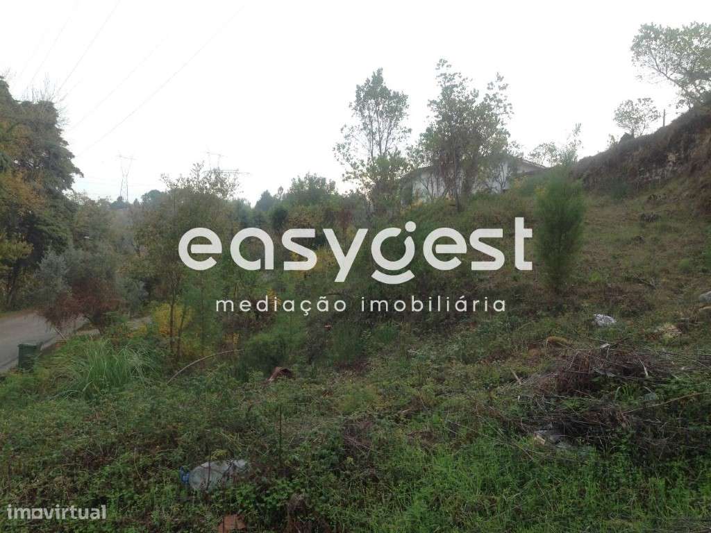 Terreno c/2000m2 Santa Clara - Grande imagem: 3/7