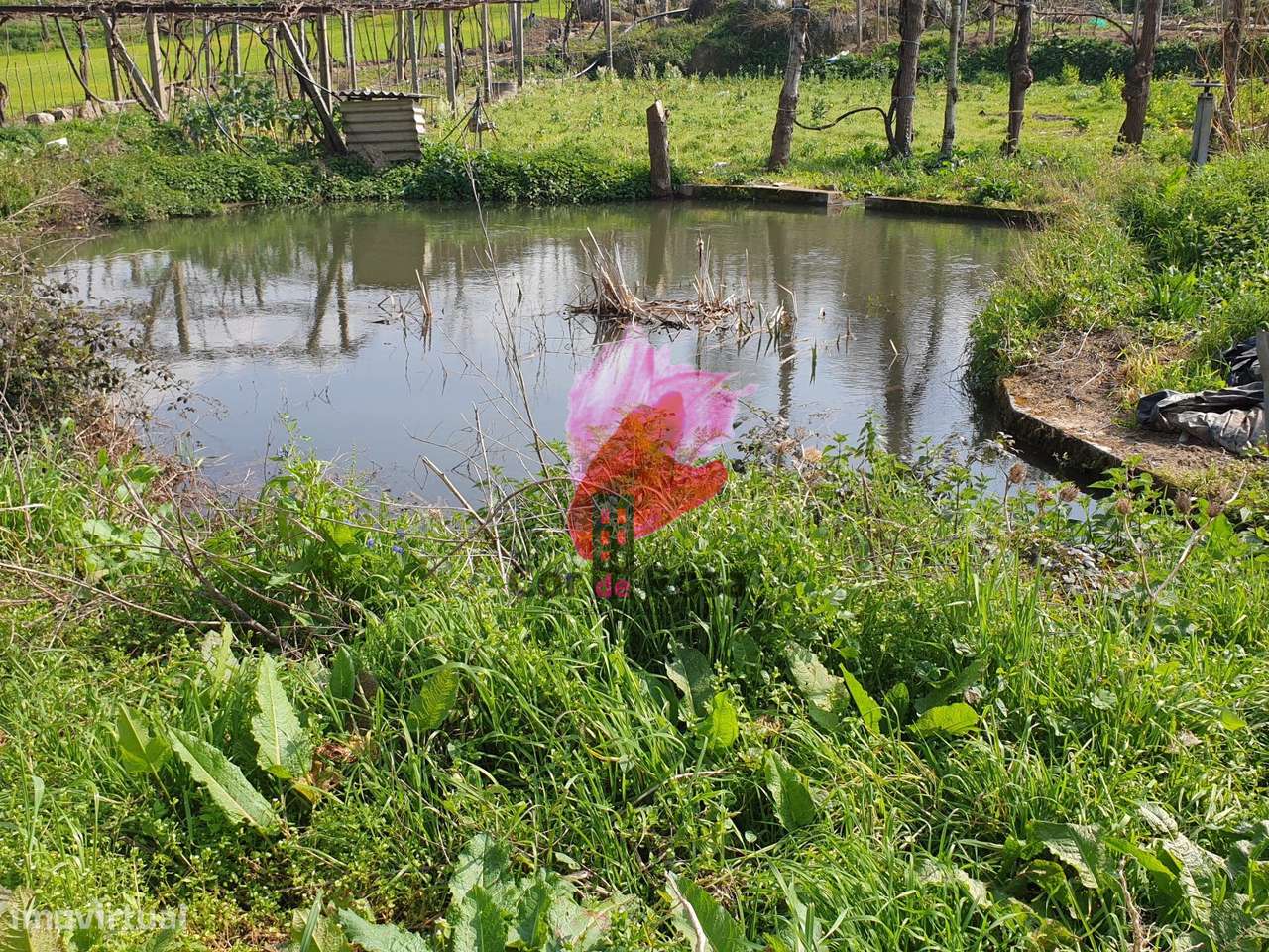 Quinta em Polvoreira  com 57.000m2 – Guimarães-8