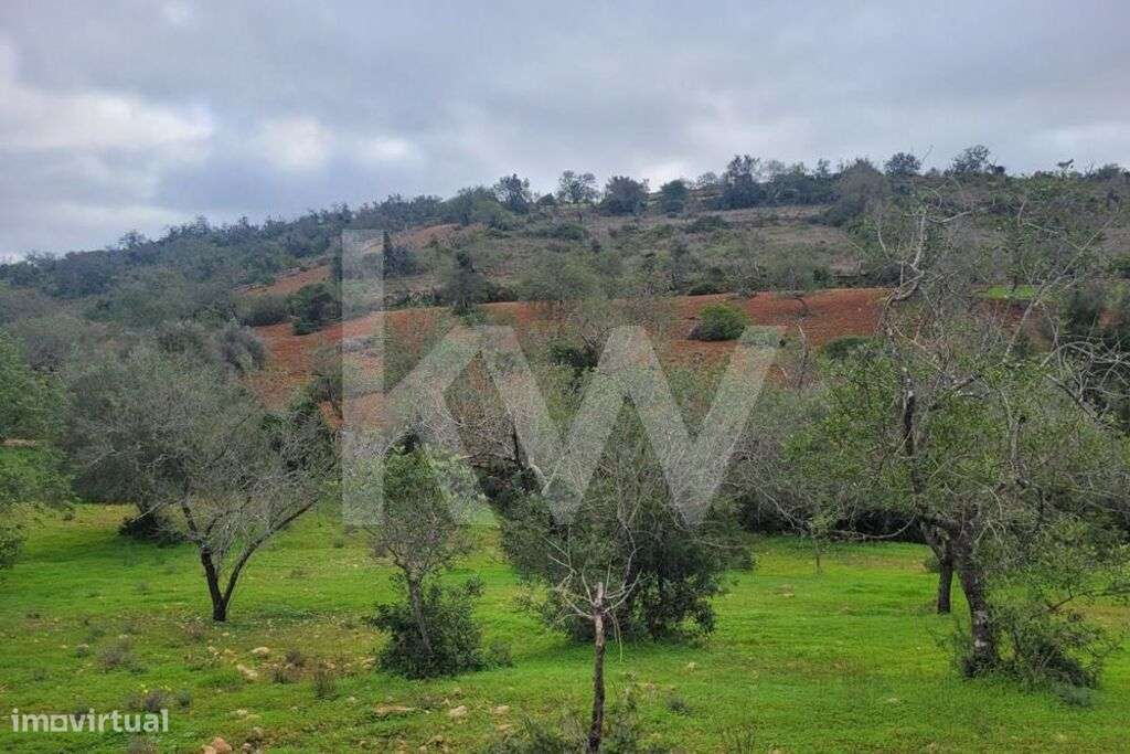 TERRENO RÚSTICO COM 5240M2 NO MALHÃO-PADERNE-ALBUFEIRA - Grande imagem: 2/10