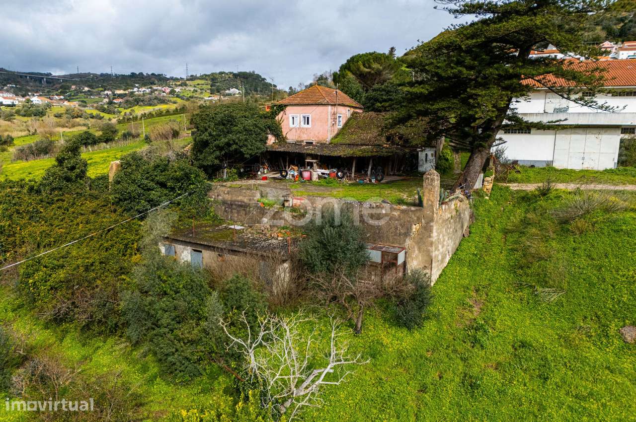 Quinta de 5 hectares com armazéns industriais a 20 minutos de Lisboa - Grande imagem: 5/19