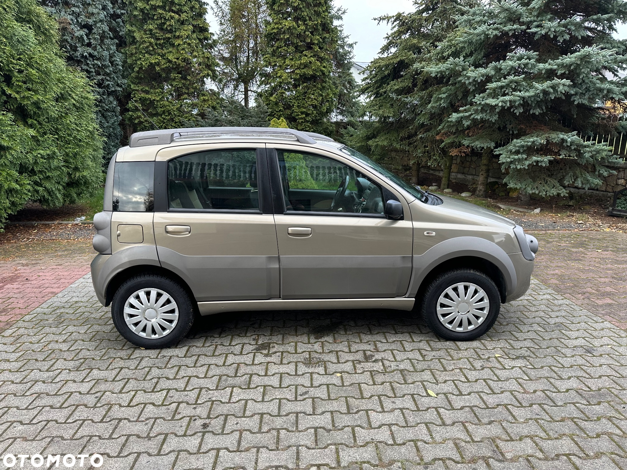 Fiat Panda 1.3 Multijet Cross 4x4 - 10