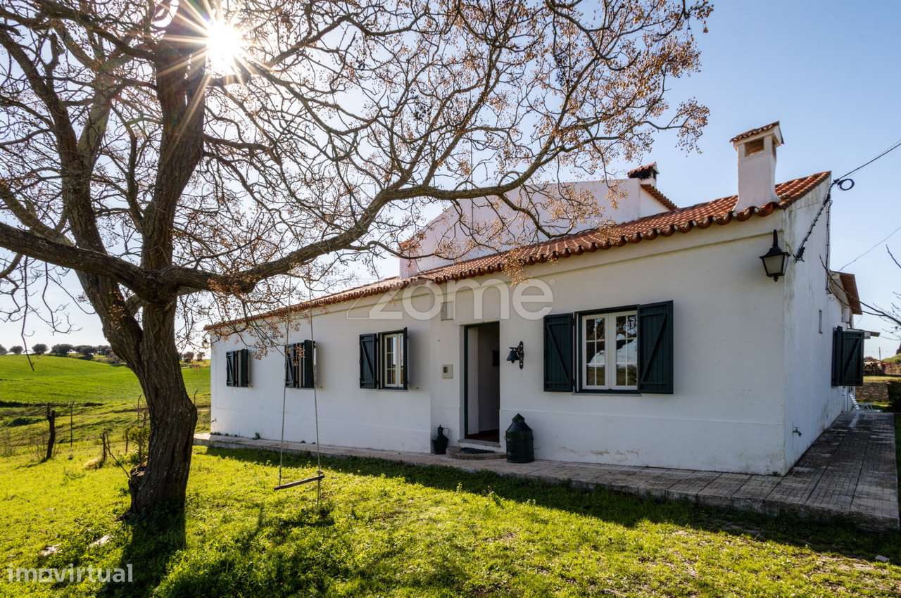 Monte Alentejano em Brinches (Serpa)-1