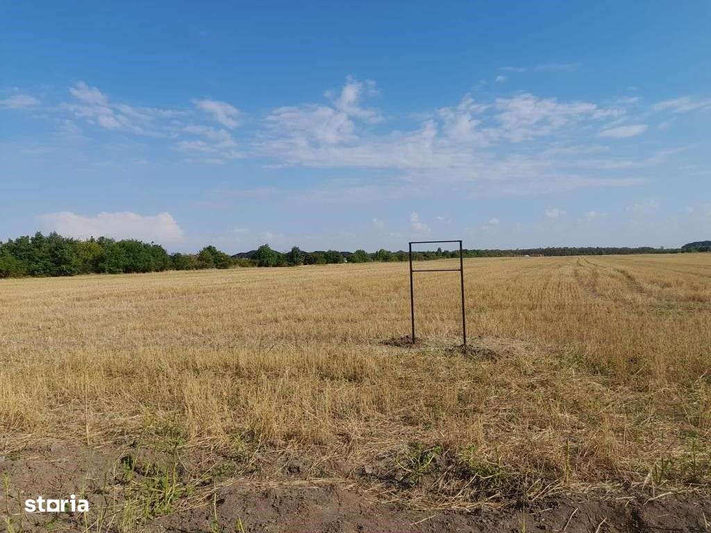 Teren Tamasi Corbeanca-2