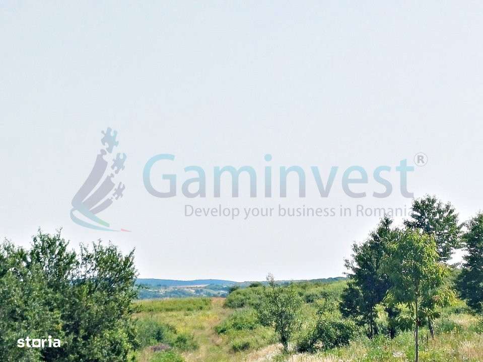 Gaminvest Teren intravilan , Saldabagiu de Munte, Bihor,V3719 - Imagine principală: 1/2