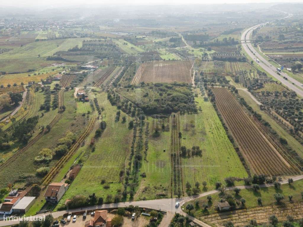 Terreno | Ventosa do Bairro, Mealhada-20