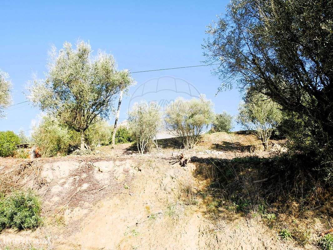 Terreno  para venda - Grande imagem: 4/14