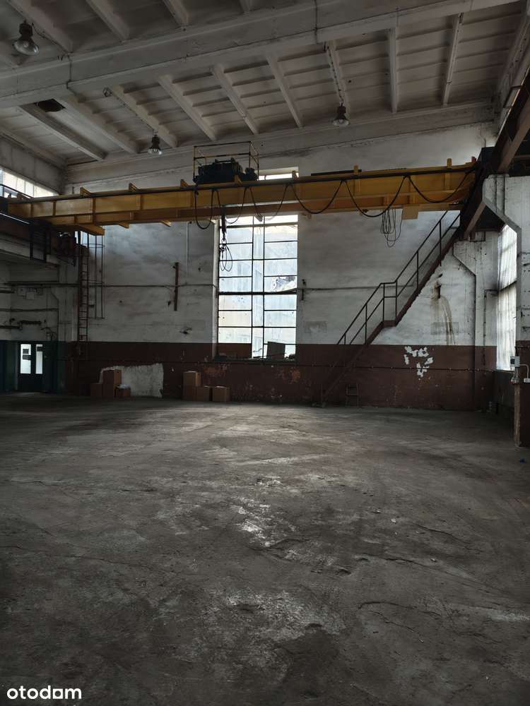 Hala 2800m2  działka 2ha biurowiec 1800m2 Suwnice 5t i 3,2t - Pełny obrazek: 5/16