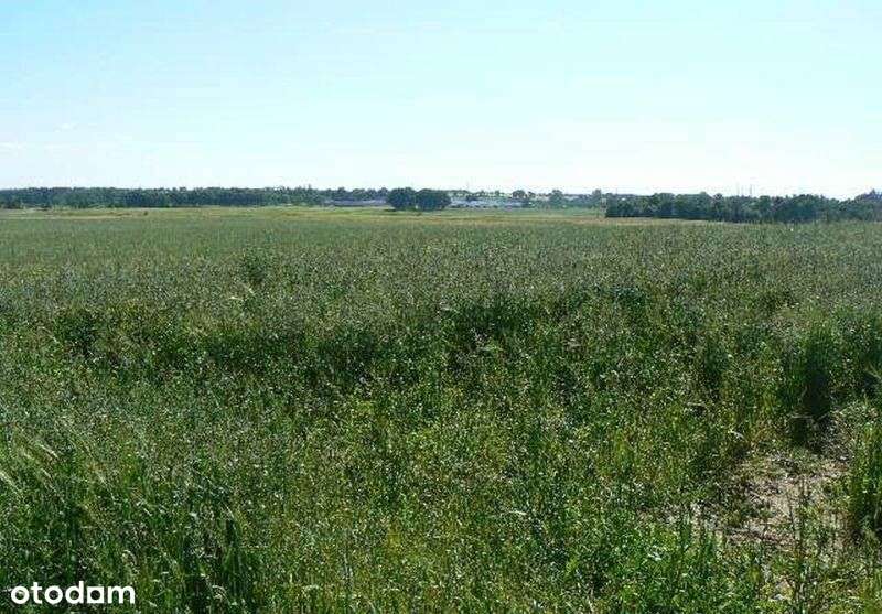 Słupsk - Runowo Sł. . Rolna 3050 m2. Morze .Okazja-3