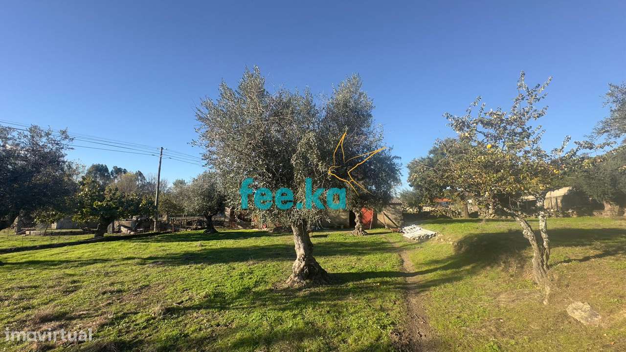 Quinta em Escalos de Baixo-3