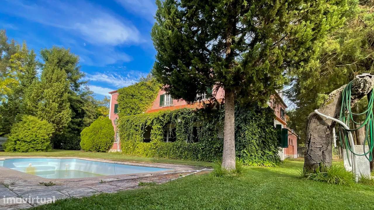 Espetacular Moradia em Marinhais, Salvaterra de Magos - Grande imagem: 4/60