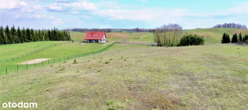 Mazury/Jezioro/Natura/Budowlana/1 linia/ - Pełny obrazek: 5/20