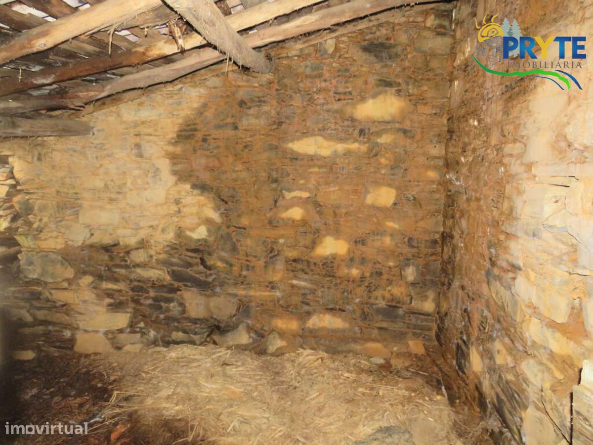 Terreno com árvores de fruto praticamente plano situado perto da Sertã - Grande imagem: 4/30