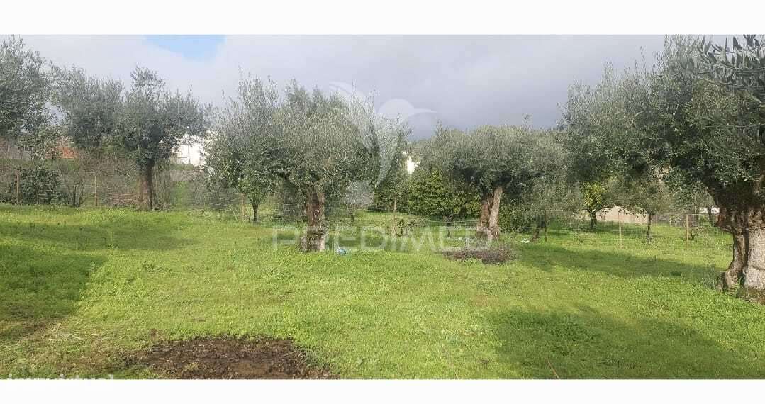 Terreno Rústico com viabilidade de construção – Lapinha, Praia do R... - Grande imagem: 5/6