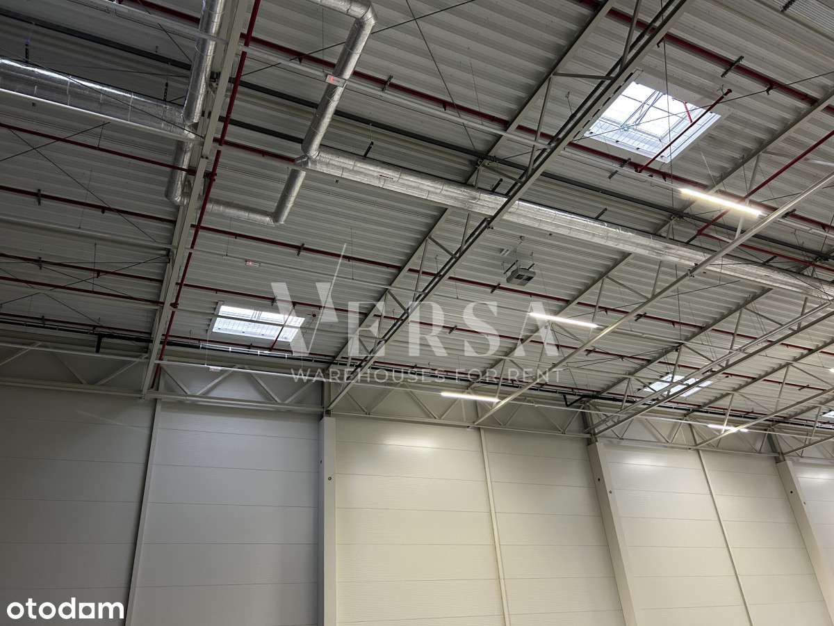 Do wynajęcia hala magazynowa z biurem - Pełny obrazek: 4/8