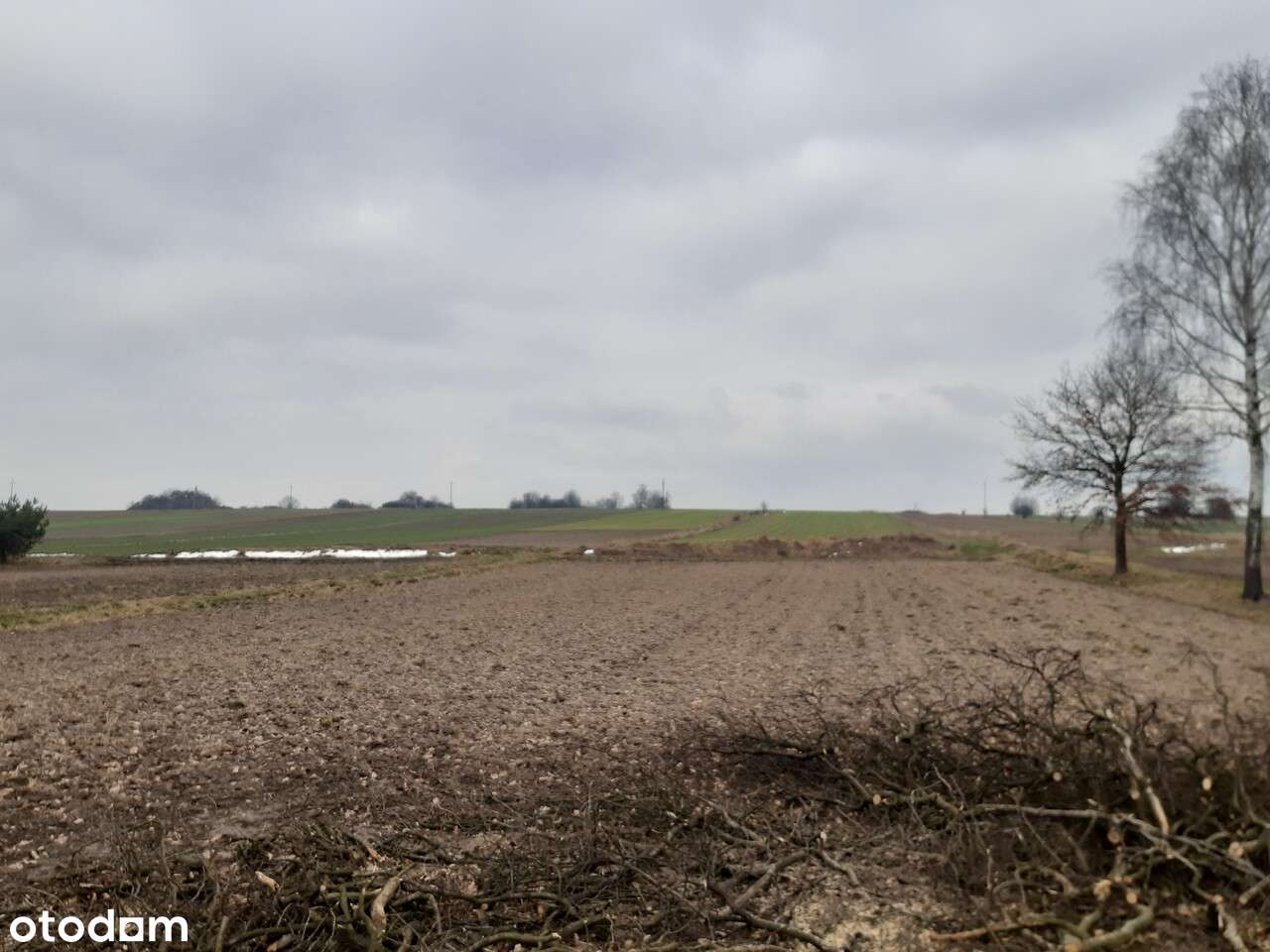 Dom do generalnego remontu z dużą działką budowlano-rolną-6