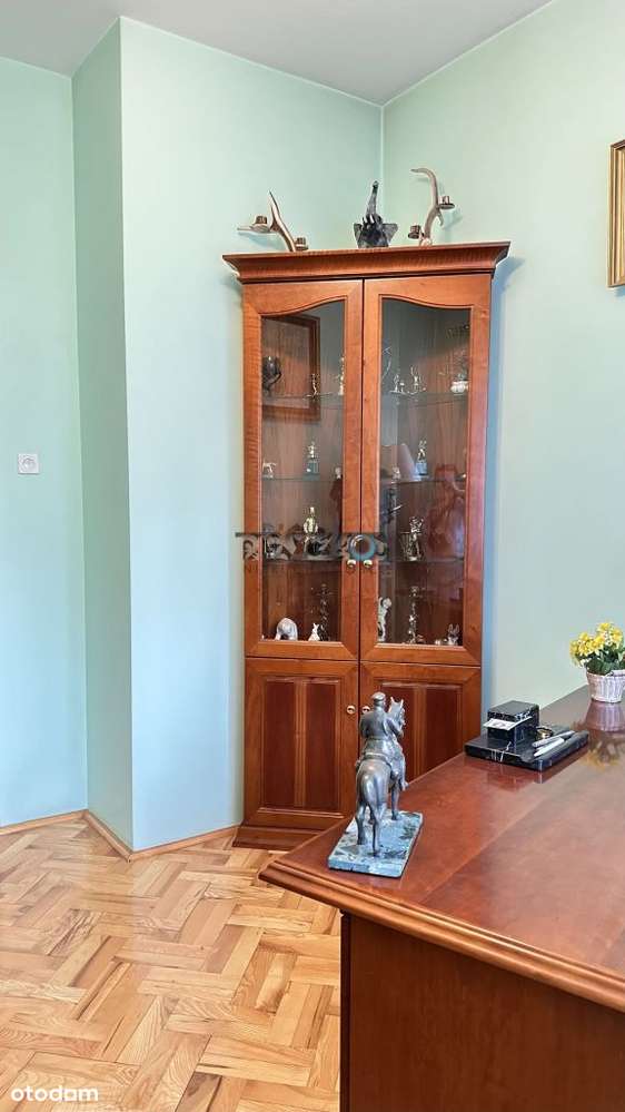 Okazały dom na zielonej i przytulnej działce-13