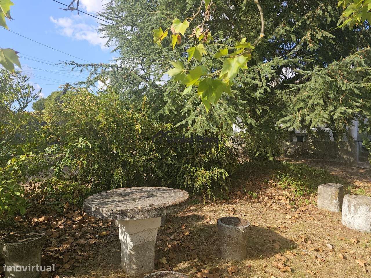 Quinta com moradia-12