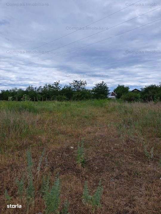 TEREN INTRAVILAN  COMUNA GIROV SAT DANESTI - Imagine principală: 2/4