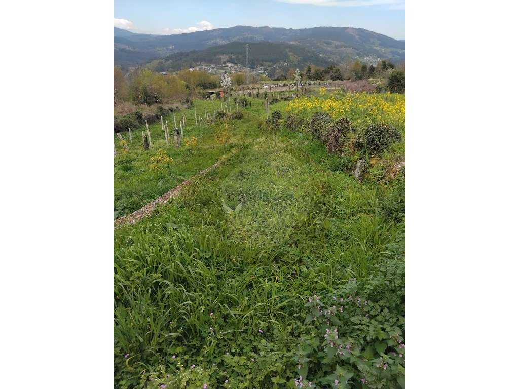 TERRENOS PARA CONSTRUÇÃO E CULTURA-10